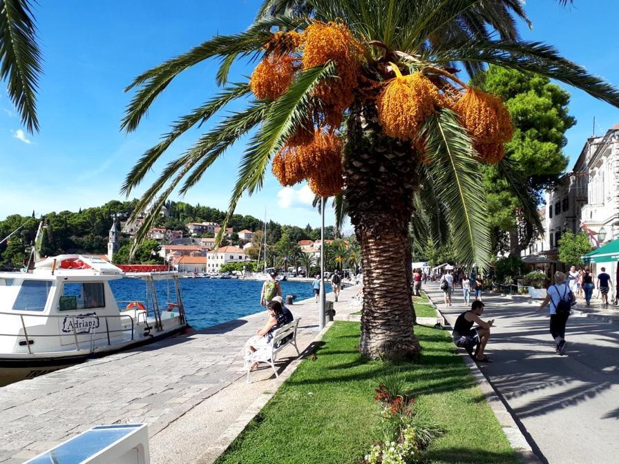Apartments Rilovic, City And Sea View Apartments Cavtat Exterior foto